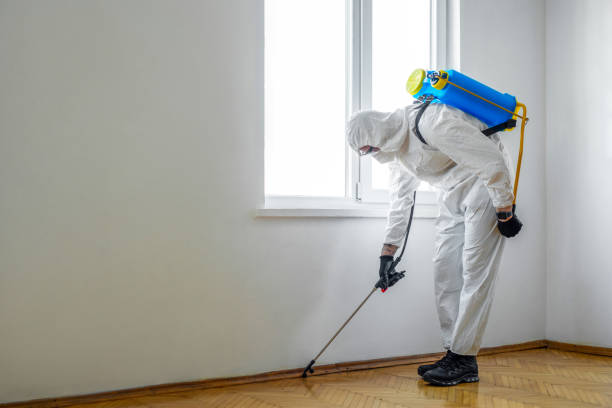 Professional Pest Control in Helena West Side, MT