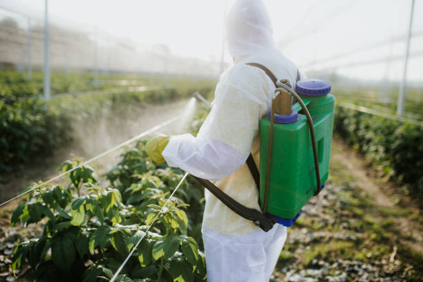 Flea Control Services in Helena West Side, MT